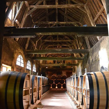 Spacious Family Friendly 3-bed With Private Courtyard Walk To Centre Holiday home